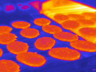 Heat detection camera for power systems